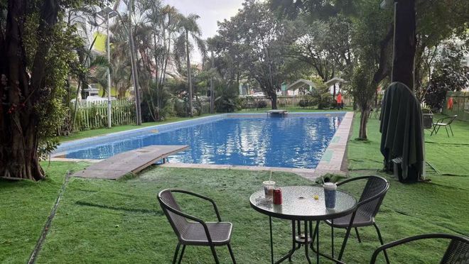 比人还自律？宠物“占领”瑜伽馆、游泳池连专属健身房都有！(图4)