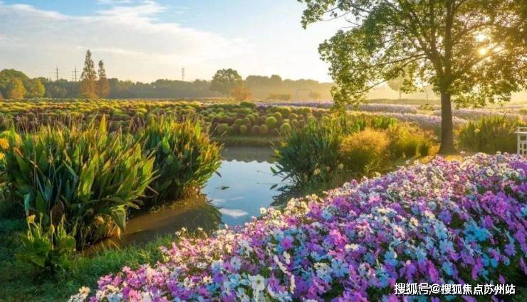 国印东方售楼处电线)国印东方售楼中心电话楼盘百科首页网站楼盘百科首页网站24小时热线电话(图23)