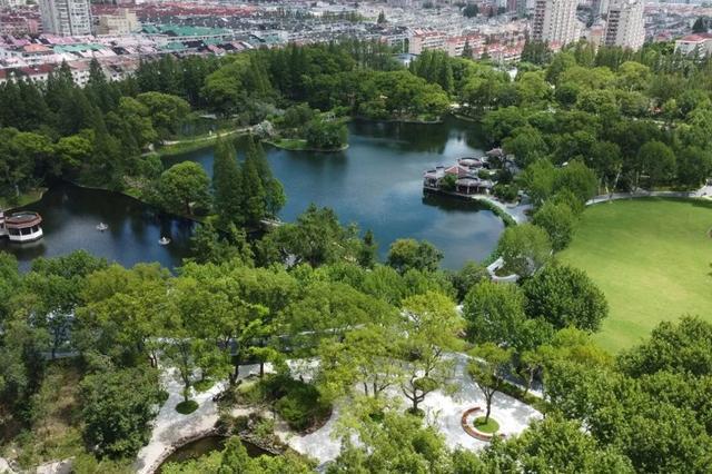 60多岁大象滑梯携“象素乐园”回归杨浦公园全新儿童乐园即日起进入试运行(图4)