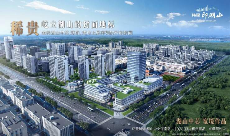 【合肥值得买的新房】合肥伟星印湖山楼盘怎么样-学区(图3)