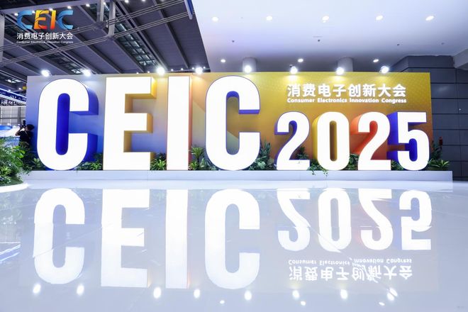 在CEIC2025消费电子创新大会感受科技的温度