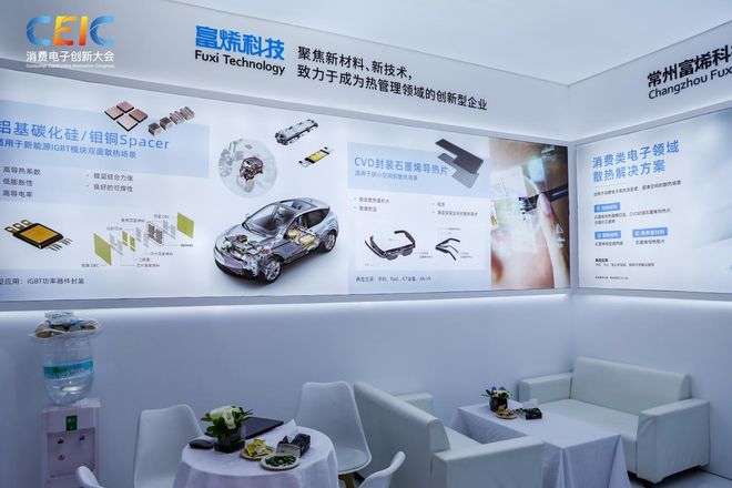 在CEIC2025消费电子创新大会感受科技的温度(图8)