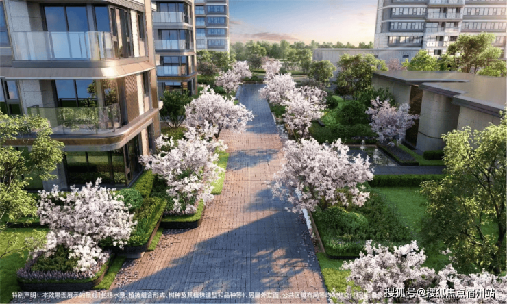 招商臻境售楼处官方热线官网发布丨招商臻境售楼处电线第一季度楼盘百科-环境-户型-价格-地址-楼盘详情-配套-前台电话-交房时间-配套(图3)